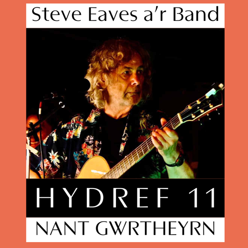 Steve Eaves a'r Band